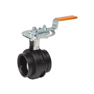 Butterfly Valve