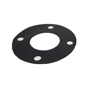 flange gasket